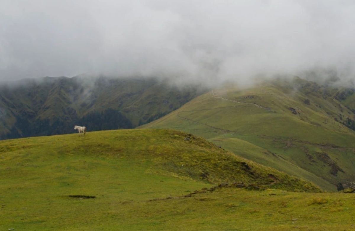 Ali Bedni Bugyal trek: Post Mansoon Trek in Uttarakhand