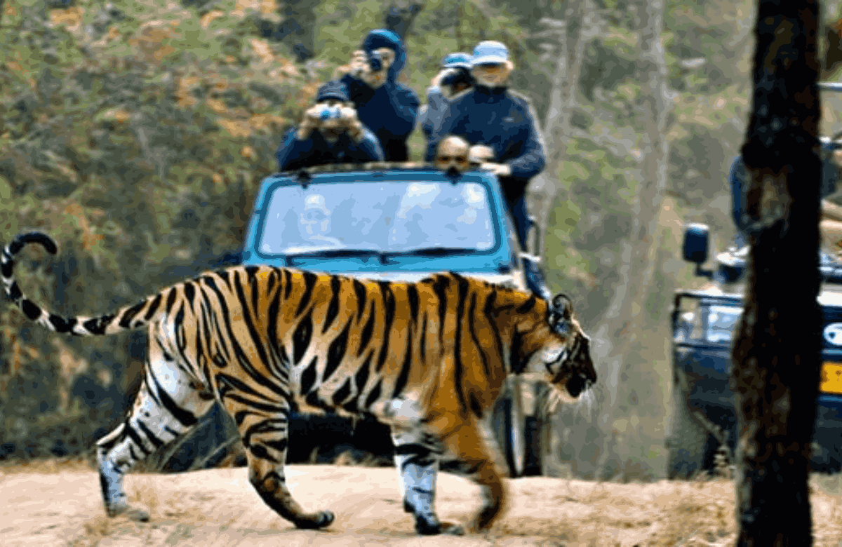 Kumaon tour package from Kathgodam 5N/6D
